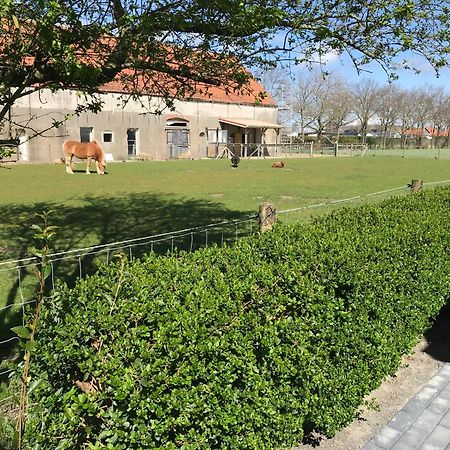 רנסה Vakantiewoningen De Schelp מראה חיצוני תמונה