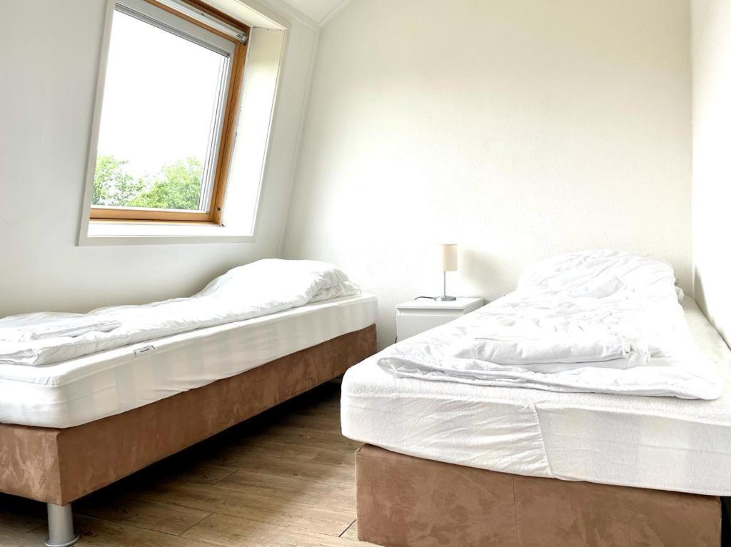 רנסה Vakantiewoningen De Schelp מראה חיצוני תמונה