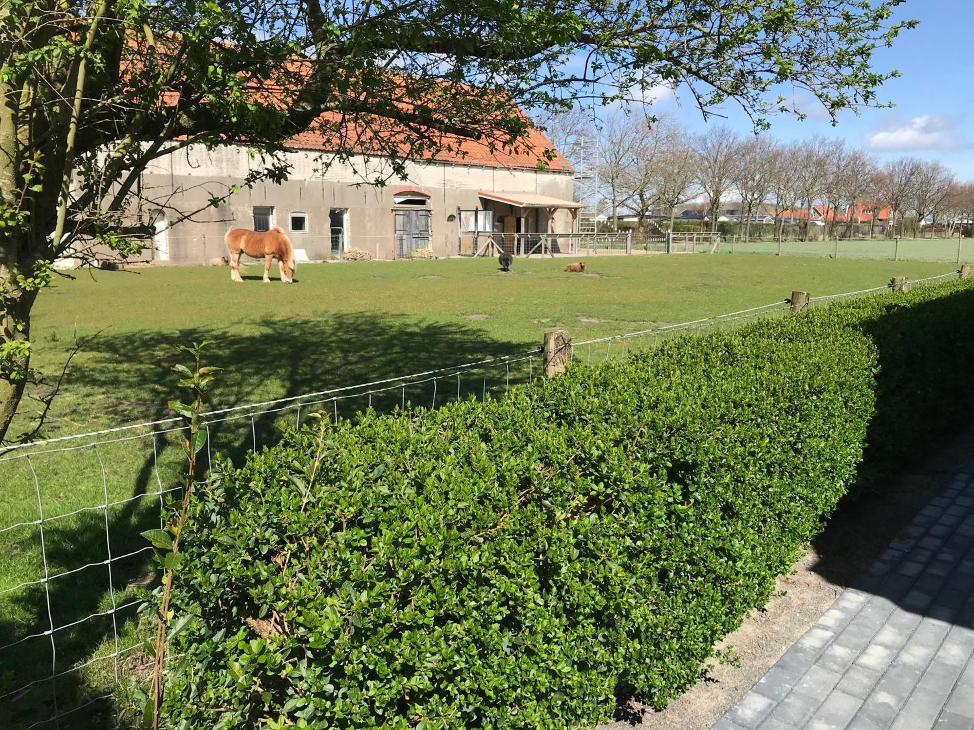 רנסה Vakantiewoningen De Schelp מראה חיצוני תמונה